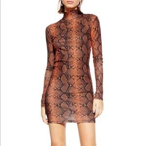 Snake Print Minidress